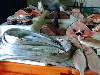 Vielf&auml;ltiges Fischangebot auf der bota von Quarteira