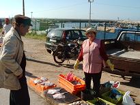 Eine moderne Varina - Fischh&auml;ndlerin am Stra&szlig;enrand in Quarteira
